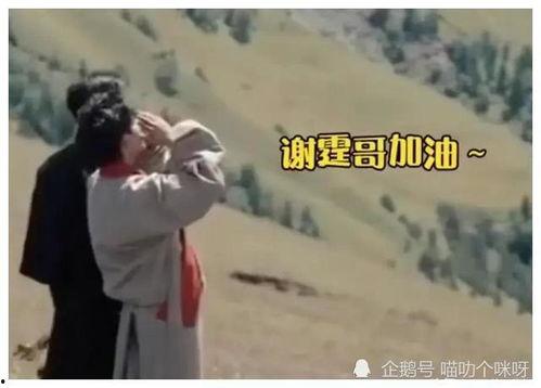 吃瓜娱乐爆料姐弟恋事件,揭秘明星恋情背后的真相