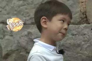 娱乐圈的吃瓜小编是谁啊,揭秘“吃瓜小编”的真实身份！